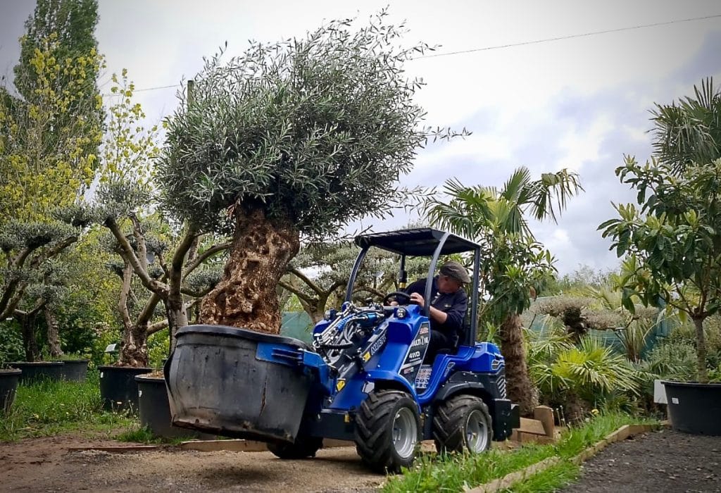 Galabau, Landschaftsbau & Forstwirtschaft - Multione